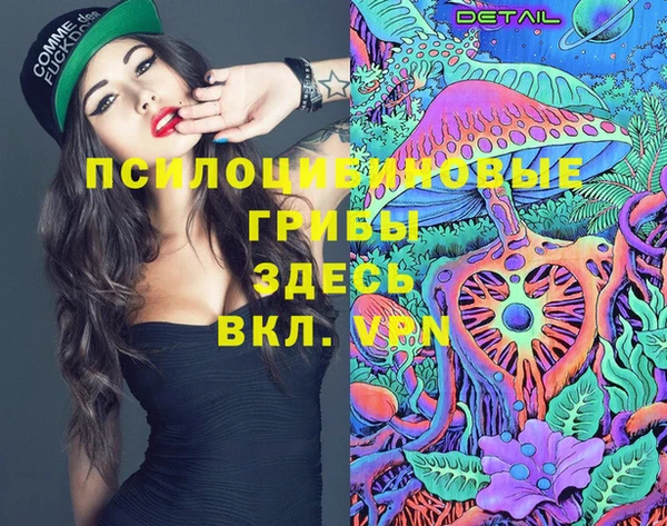 ГАЛЛЮЦИНОГЕННЫЕ ГРИБЫ Няндома
