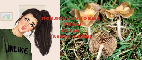 ГАЛЛЮЦИНОГЕННЫЕ ГРИБЫ Няндома