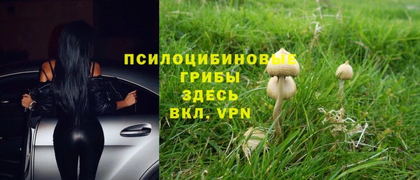 ГАЛЛЮЦИНОГЕННЫЕ ГРИБЫ Няндома