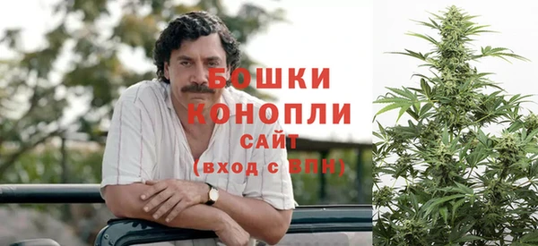 ГАЛЛЮЦИНОГЕННЫЕ ГРИБЫ Няндома