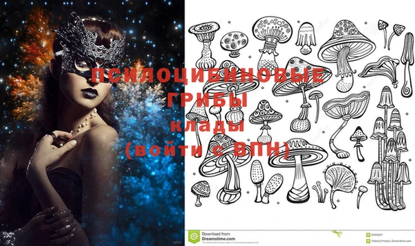 ГАЛЛЮЦИНОГЕННЫЕ ГРИБЫ Няндома