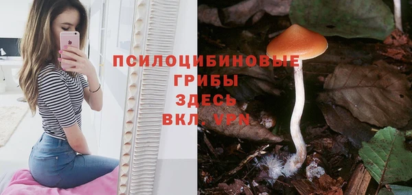 ГАЛЛЮЦИНОГЕННЫЕ ГРИБЫ Няндома