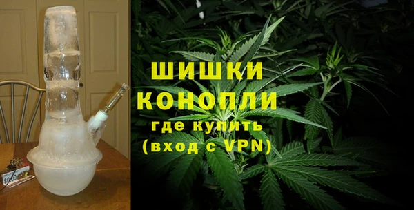 ГАЛЛЮЦИНОГЕННЫЕ ГРИБЫ Няндома