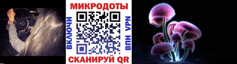 Псилоцибиновые грибы Psilocybe  блэк спрут маркетплейс  Каменск-Уральский 