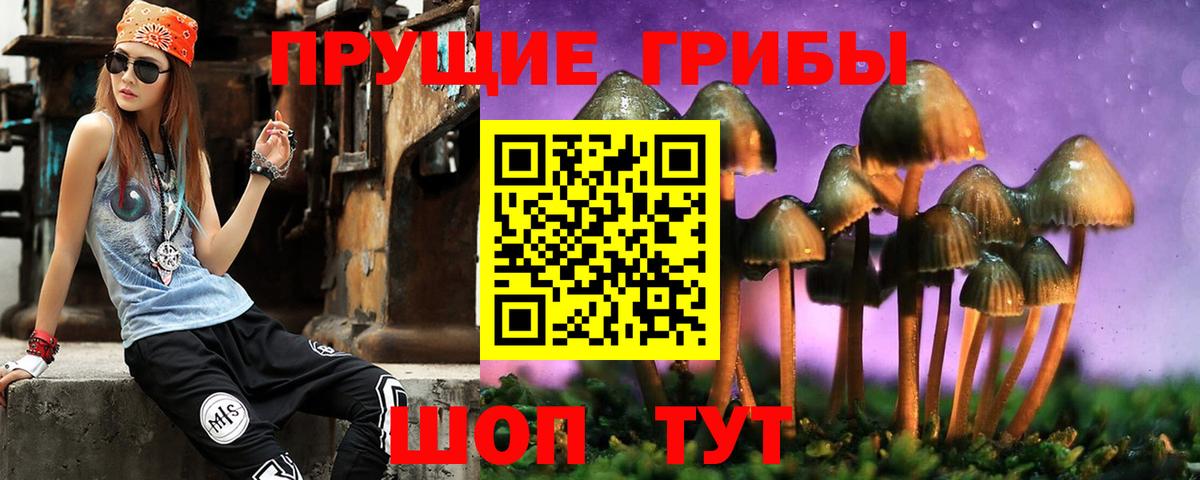 Каменск-Уральский  Галлюциногенные грибы мицелий  где можно купить наркотик  Вход с VPN 