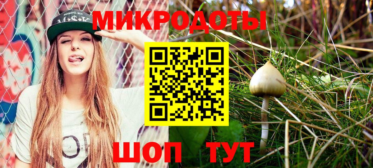 Галлюциногенные грибы Psilocybine cubensis Каменск-Уральский